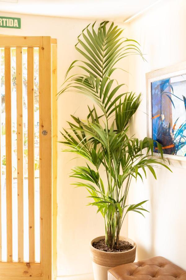 Sitges Beach Hostal Экстерьер фото